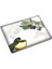 Zeytin ve Limon Desen Cam Kesme Tablası 30 x 40 cm 3