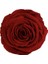 Red-01 Koyu Kırmızı Şoklanmış Solmaz Gül Xl 2