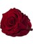 Red-01 Koyu Kırmızı Şoklanmış Solmaz Gül Xl 3