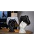 Dekoratif Joystick Standı 2 Adet Kol Tutucu Xbox/ps4/ps5 Uyumlu 2