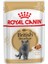 British Shorthair Adult Pouch Yetişkin Kedi Yaş Maması 24 Adet x 85 G 1