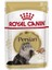 Persian Adult Pouch Yetişkin Iran Kedi Yaş Maması 12 Adet x 85 G 1