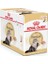 Persian Adult Pouch Yetişkin Iran Kedi Yaş Maması 12 Adet x 85 G 2