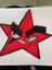 18X18 Cmangry Birds Deri Aplike Yama Arma 1