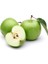 Granny Smith Elma Fidanı 3 Yaş Tüplü ve Aşılı 3
