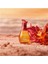 Surreal Island Kadın Parfüm Edt - 75ML 2