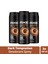 Erkek Deodorant Sprey Dark Temptation 150 Ml 3 2