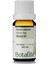 Niaouli Yağı 10 ml 1