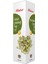 Bln Kabak Çekirdeği Yağı (Soğuk Pres) 250 ml 1