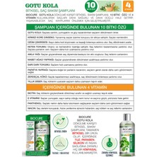 Biocure Saç Gotu Kola Bitkisel Şampuan ZayıfDökülen Saçlara 10 Bitki 4 Vitamin