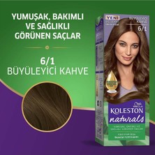 Wella Koleston  Naturals 6/1 Büyüleyici Kahve