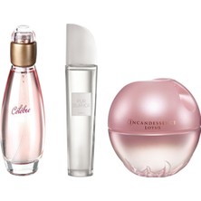 Avon Celebre Edt 50 ml + Pur Blanca Edt 50 ml + Incandessence Lotus Edp 50 ml 3lü Set