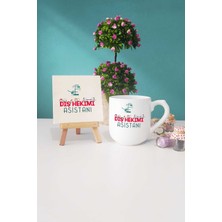 Hedizu Diş Hekimi Asistanı Oval Kupa Bardak Dekoratif Taş