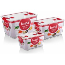 Lossa Kilitli 3 Lü Saklama Kabı Organizer (Hubb)