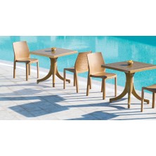 Papatya Yummy Sandalye Teak - Plastik Bahçe Sandalyesi