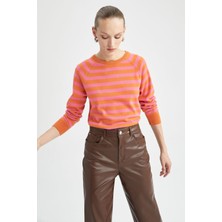 DeFacto Relax Fit Bisiklet Yaka Kazak X0188AZ22WN