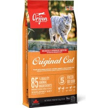 Orijen Cat  Kitten Kedi Maması, 17 kg