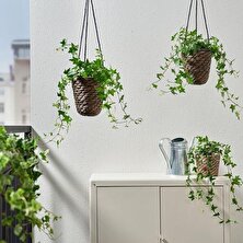 IKEA Asma Saksı Su Sümbülü Koyu Kahve 14 cm İç Mekan Balkon Dekorasyonu