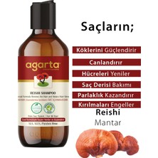 Agarta Doğal Şampuan Reishi 400 ml 3 Adet