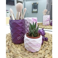 Mile Concept Masaüstü Elmas Beton 2'li Kalemlik, Ayıcık, Saksı ve Sukulen/kaktüs Seti