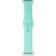 Fitcase Apple Watch Klasik 38MM / 40MM Silikon Kordon