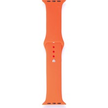 Fitcase Apple Watch Klasik 38MM / 40MM Silikon Kordon