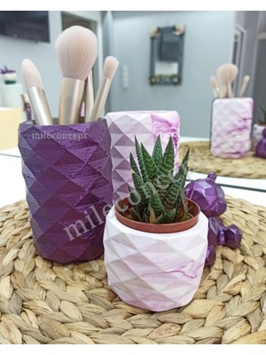 Mile Concept Masaüstü Elmas Beton 2'li Kalemlik, Ayıcık, Saksı ve Sukulen/kaktüs Seti
