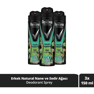 Men Natural Fresh Nane Sedir Ağacı 150 ml x 3 Adet