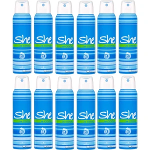 Is Cool Bayan Deodorant 150 ml x 12 Adet