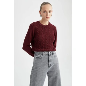 Regular Fit Bisiklet Yaka Kazak X5910AZ22WN