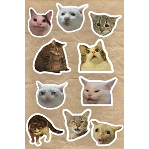 Şapşal Kediler 10'lu Laptop Notebook Tablet Sticker Seti