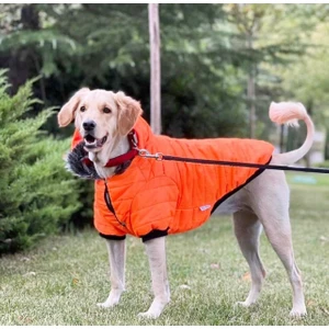 Dogi Dog Büyük Irk Neon Oranj Puf Köpek Montu