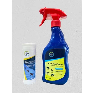 Karınca granülü 80 gr + K-Othrıne All Haşere Sprey Seti 500 ml