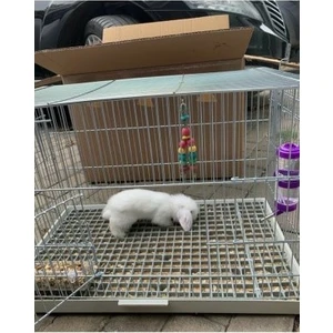 A.C.E.K Plastik Özel Ölçü Talep Edebilirsiniz, (Plastik Tavşan Kafesi Taban Izgarası) (Siyah)