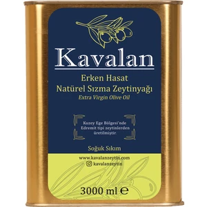 İyi Tarım Uyg. 3 Lt Kuzey Ege Erken Hasat Soğuk Sıkım Natürel Sızma Zeytinyağı