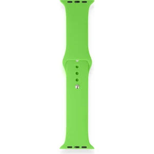 Fitcase Apple Watch Klasik 38MM / 40MM Silikon Kordon