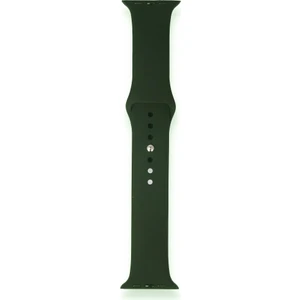 Fitcase Apple Watch Klasik 38MM / 40MM Silikon Kordon