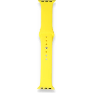 Fitcase Apple Watch Klasik 38MM / 40MM Silikon Kordon