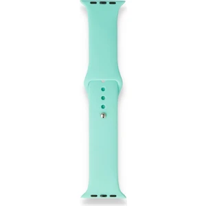 Fitcase Apple Watch Klasik 38MM / 40MM Silikon Kordon