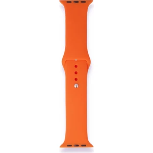 Fitcase Apple Watch Klasik 38MM / 40MM Silikon Kordon