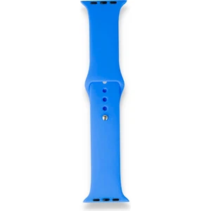 Fitcase Apple Watch Klasik 38MM / 40MM Silikon Kordon