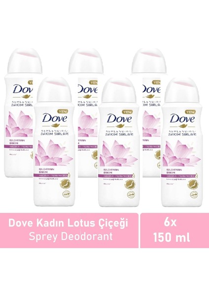 Kadın Deodorant Işıldayan Bakım Lotus Çiçeği Kokusu 150 Ml - 6'Lı Paketi