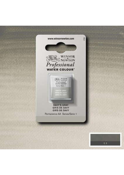 Professional Sulu Boya Yarım Tablet Davy’s Gray 217 S.1