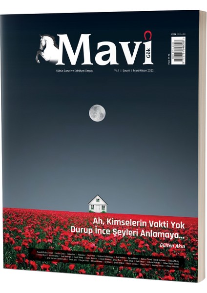 Mavi Gök Kültür Sanat ve Edebiyat Dergisi Sayı & 6