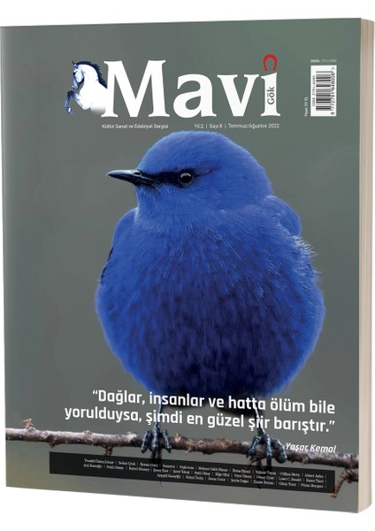 Mavi Gök Kültür Sanat ve Edebiyat Dergisi Sayı & 8