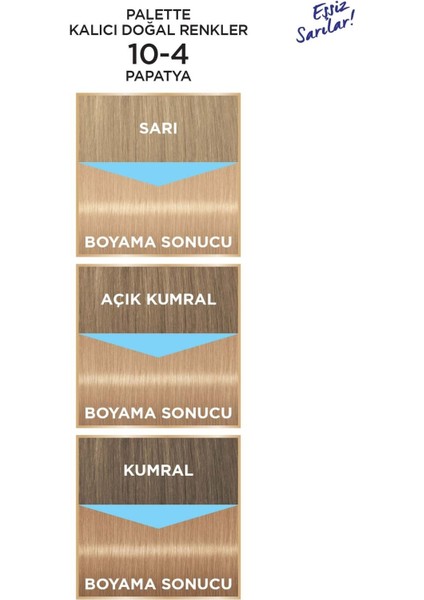 Kalıcı Doğal Renkler 10-4 Papatya modelleri