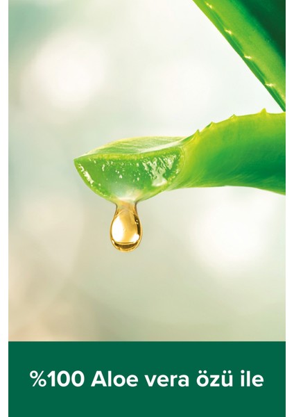 Spa Therapy Clay Detox Kil ve Aloe Vera Özü Banyo ve Duş Jeli 2 x 500 Ml+ Duş Lifi Hediye modelleri