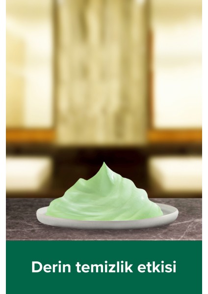 Spa Therapy Clay Detox Kil ve Aloe Vera Özü Banyo ve Duş Jeli 2 x 500 Ml+ Duş Lifi Hediye fırsatları