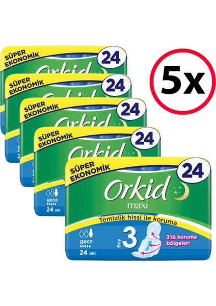 Maxi Gece Ped 24'Lü 5 Adet