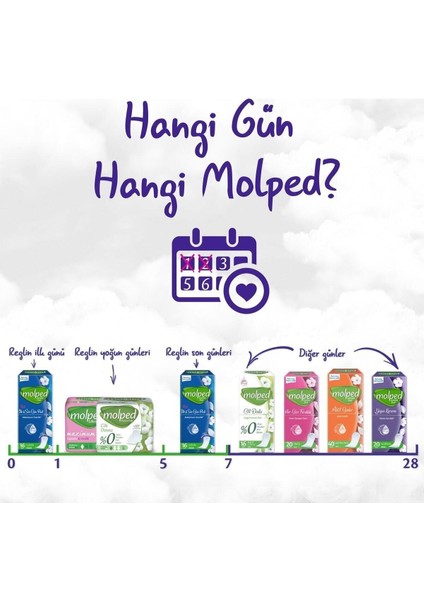 Günlük Ped Her Gün Ferahlık 20'Lıx12 Adet Molped indirimleri